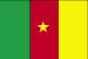Cameroon flag